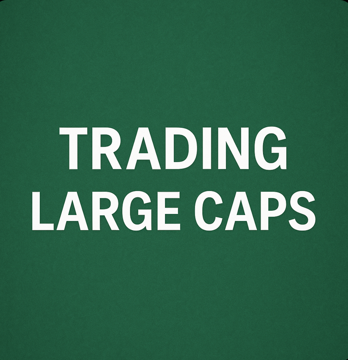 Rezumatul saptamanii -  Large Caps TRADING 